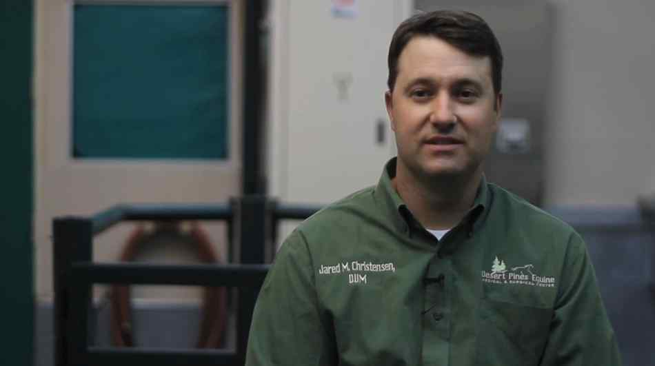 Dr. Jared Christensen I Am An Equine Veterinarian